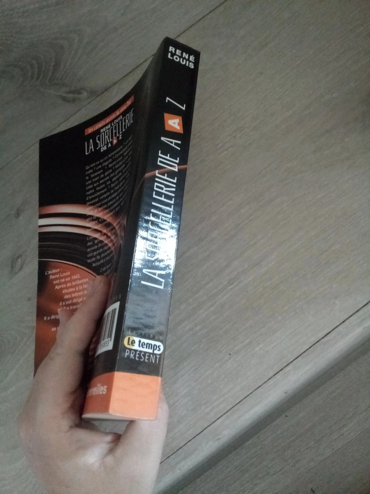 A feitiçaria de A a Z René Louis – photo 3